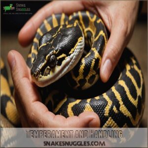 Temperament and Handling