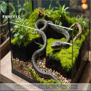 Terrarium Selection and Size