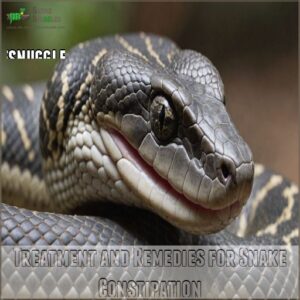 Treatment and Remedies for Snake Constipation