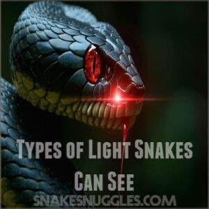 Types of Light Snakes Can See