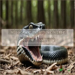 Understanding Your Snake’s Feeding Behavior