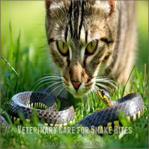 Veterinary Care for Snake Bites