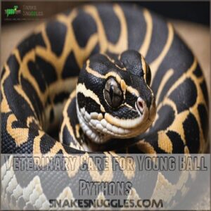 Veterinary Care for Young Ball Pythons