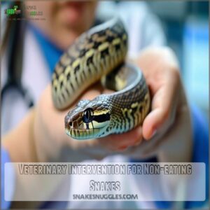 Veterinary Intervention for Non-eating Snakes