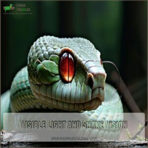 Visible Light and Snake Vision