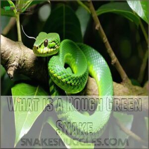 What is a Rough Green Snake