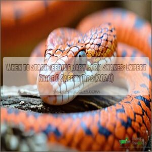 when to start feeding baby corn snakes