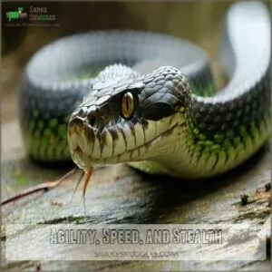 Agility, Speed, and Stealth Agility, Speed, and Stealth