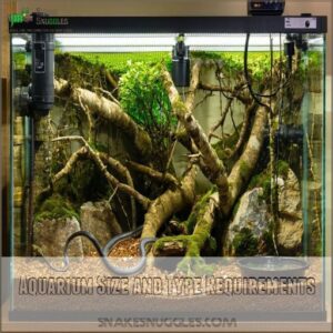 Aquarium Size and Type Requirements