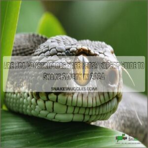 are boa constrictors safe pets