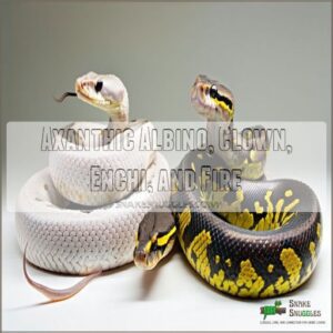 Axanthic Albino, Clown, Enchi, and Fire