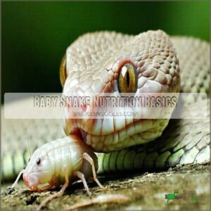 Baby Snake Nutrition Basics