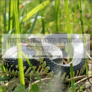 Behavioral Differences Between Male and Female Snakes