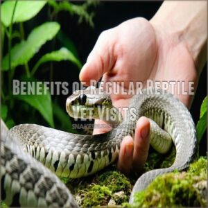 Benefits of Regular Reptile Vet Visits