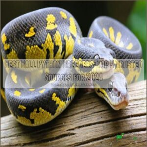 best ball python breeder reviews