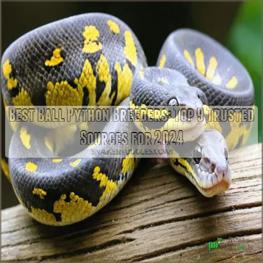 best ball python breeder reviews