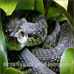 Better Temperament and Adaptability