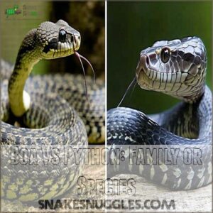 Boa Vs Python: Family or Species