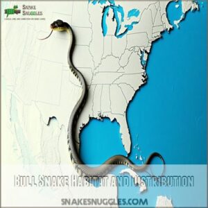 Bull Snake Habitat and Distribution