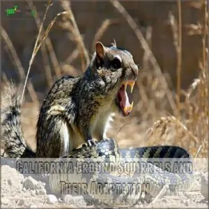 California Ground Squirrels and Their Adaptation California Ground Squirrels and Their Adaptation