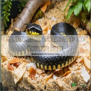 california kingsnake care