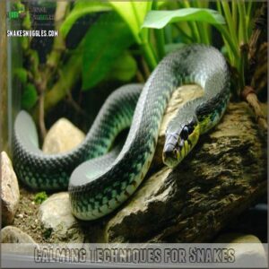 Calming Techniques for Snakes