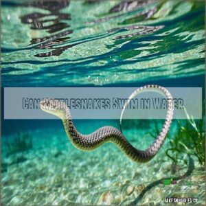 Can Rattlesnakes Swim in Water