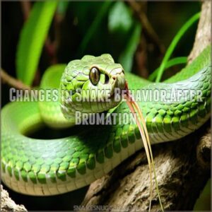 Changes in Snake Behavior After Brumation