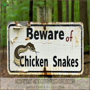 Chicken Snakes and Humans