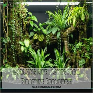 Choosing Live Plants for a Bioactive Enclosure