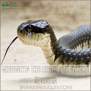 Choosing The Right Pet Snake Species