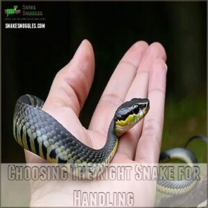 Choosing The Right Snake for Handling