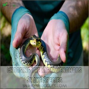 Choosing The Right Venomous Snake Species