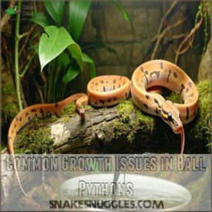 Common Growth Issues in Ball Pythons