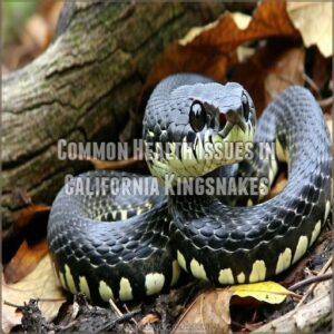 Common Health Issues in California Kingsnakes