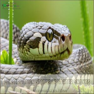 Conservation Status of Garter Snakes