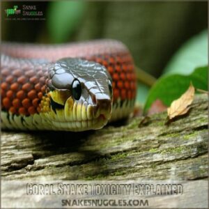 Coral Snake Toxicity Explained