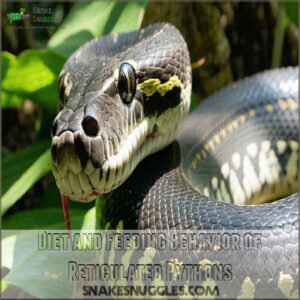 Diet and Feeding Behavior of Reticulated Pythons