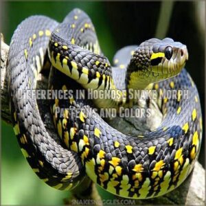 Differences in Hognose Snake Morph Patterns and Colors