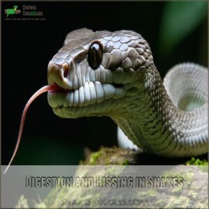 Digestion and Hissing in Snakes