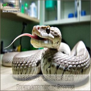 Digestive Problems and Regurgitation in Snakes