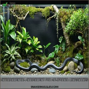 Environmental Enrichment for California Kingsnakes