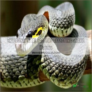 Environmental Factors Affecting Snake Health