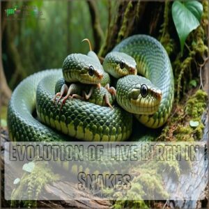 Evolution of Live Birth in Snakes