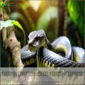 Factors Affecting Snake Feeding Frequency