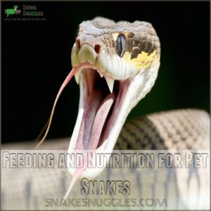 Feeding and Nutrition for Pet Snakes