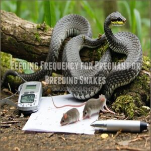 Feeding Frequency for Pregnant or Breeding Snakes