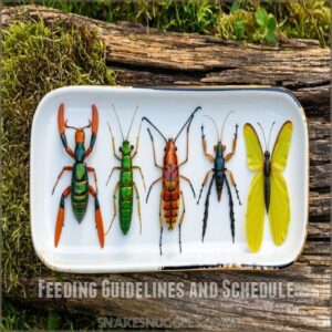 Feeding Guidelines and Schedule