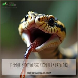 Frequency of Snake Defecation