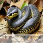 Boa Constrictor Babies: Surprising Facts and Reproduction Secrets